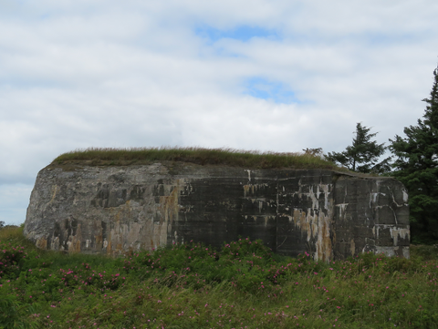 Den største af de tre bunkers er på 70 m2 og indeholdt en kanonstilling, som dækkede farvandet mellem Mandø og Fanø. Foto: Charlotte Lindhardt.